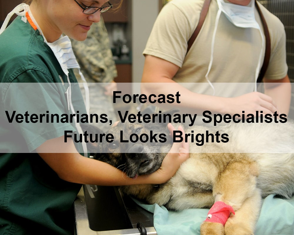 Veterinarians and Veterinary Specialists Outlook 